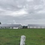 Réalisation hangars agricoles photovoltaïques