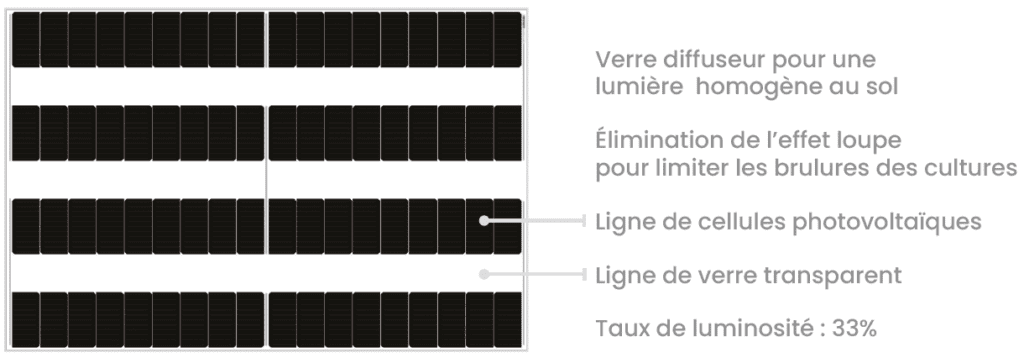 Serres photovoltaïques